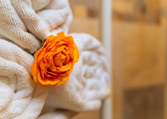 Duque Poris De Abona *