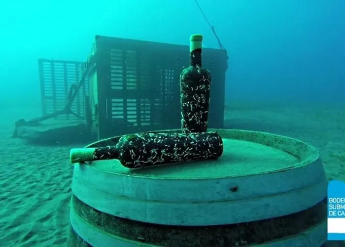 Duque Poris De Abona * Arico el Nuevo