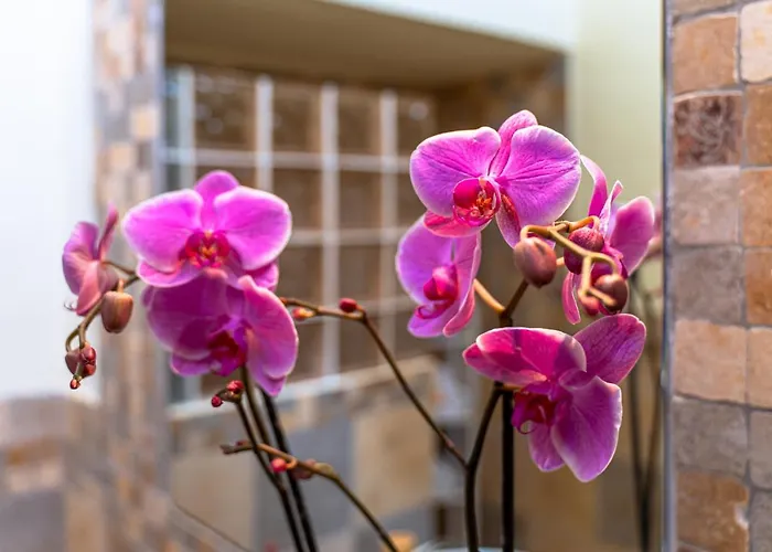 Duque Poris De Abona Villa