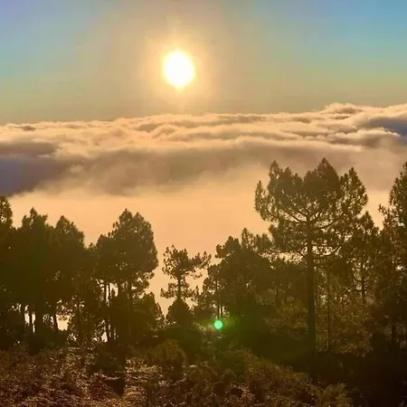 Duque Poris De Abona * Arico el Nuevo